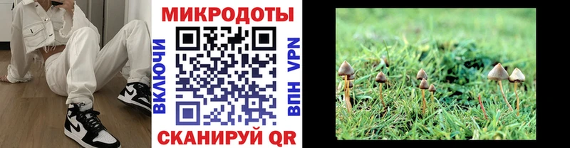 Галлюциногенные грибы Magic Shrooms Суворов